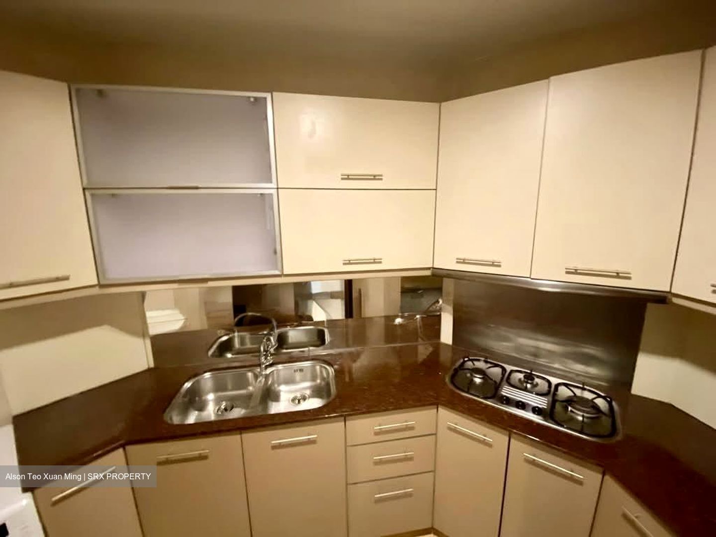 The Aston (D10), Apartment #577811751